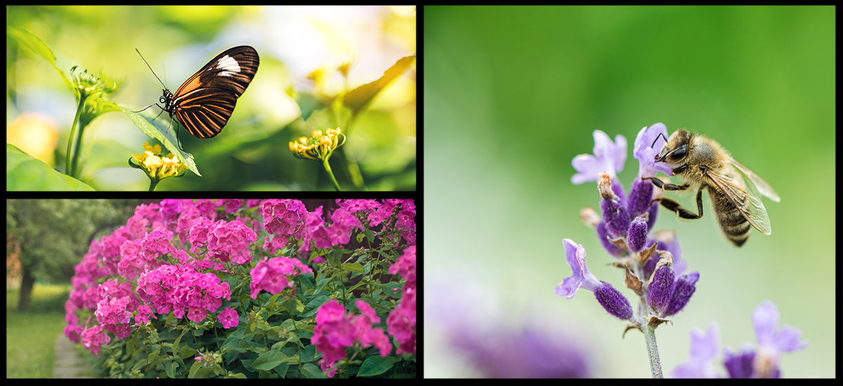 The Benefits of PollenRich Flowers MTD Parts